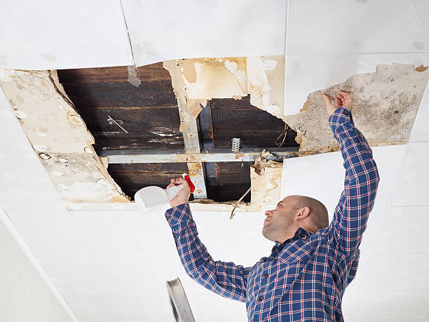 Best Crawl Space Mold Remediation  in Mount Carmel, PA